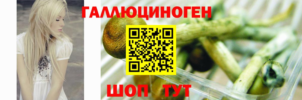 Каннабис  ГАШ  Вход с VPN  КОКАИН  Севастополь  МЕФ кристаллы  КОКАИН 