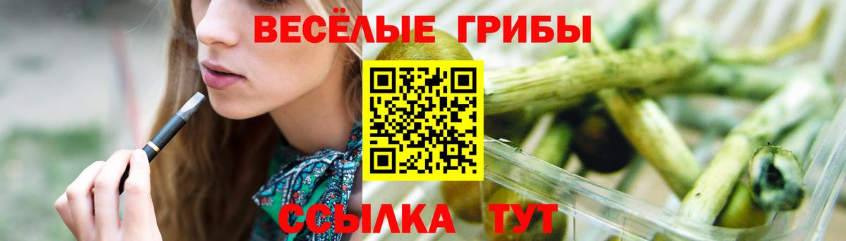 Севастополь  Псилоцибиновые грибы прущие грибы  Вход с VPN 
